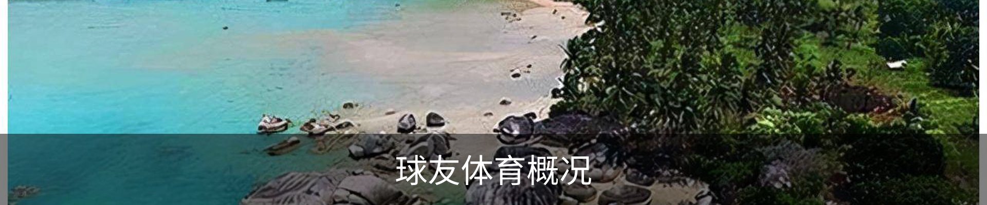 球友体育概况